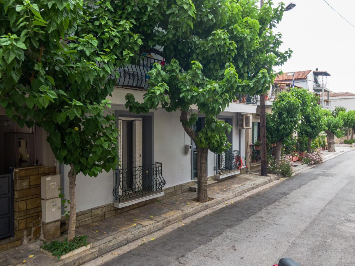 The Vacationer Διαμέρισμα Αγριά Εξωτερικό φωτογραφία